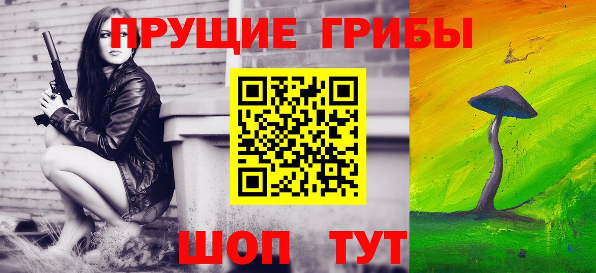 Галлюциногенные грибы Psilocybine cubensis Вятские Поляны