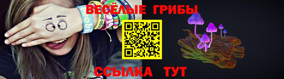 как найти наркотики  Вход с VPN  Псилоцибиновые грибы Psilocybe  Вятские Поляны  Галлюциногенные грибы мухоморы 